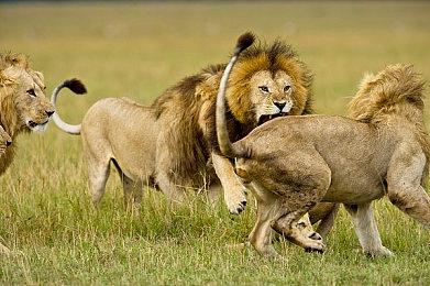 比亚迪第1000万辆新能源车下线 车主为《黑神话：悟空》制作人冯骥