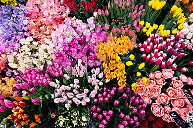 《四海兄弟：故乡》PS5 Pro强化细节 支持120Hz显示器